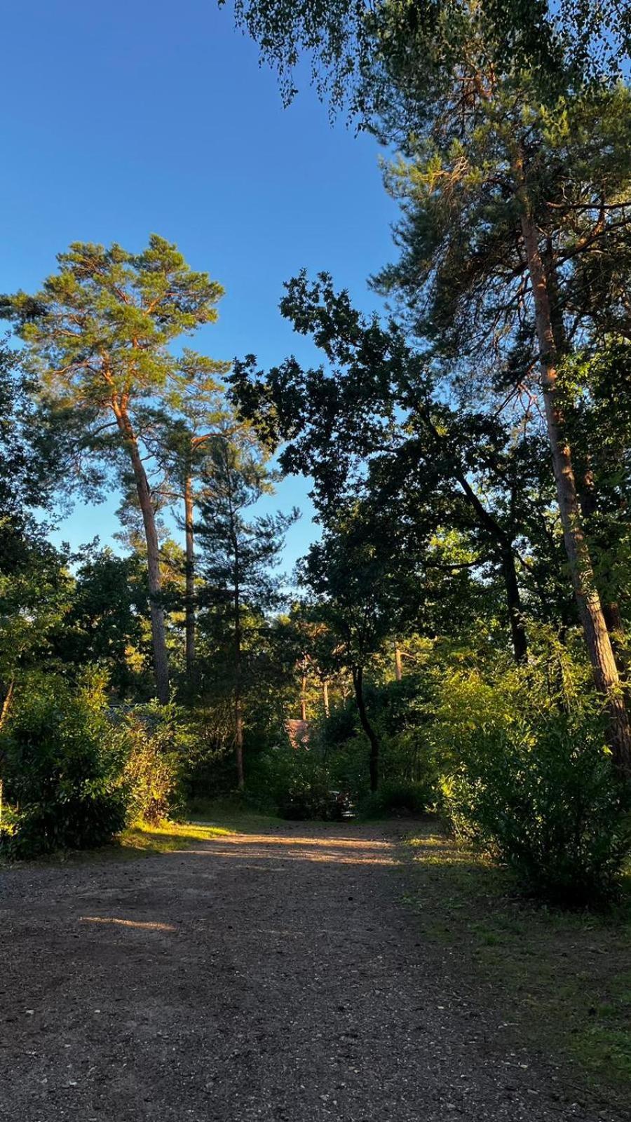 Vakantiehuis Vliegend Hert Veluwe Nunspeet Exterior photo